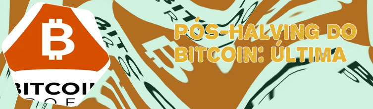 Bitcoin profit login