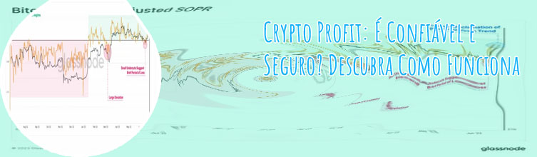 Bitcoin profit opiniões